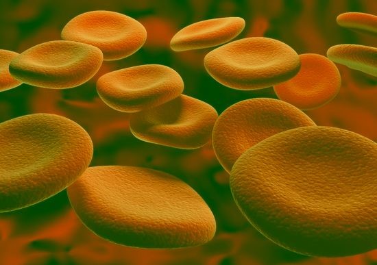Лейкоциты и белок в моче