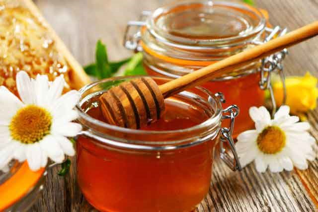 Полезен ли мед для печени
