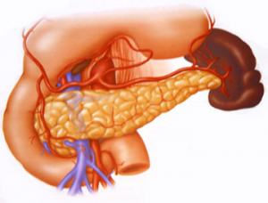 Панкреатит: лечение поджелудочной железы семенами льна