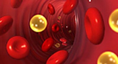 Норма холестерина у мужчин в крови: таблица уровней по возрастам