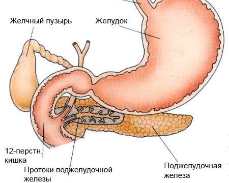 Как проходит опухоли головки поджелудочной железы операция