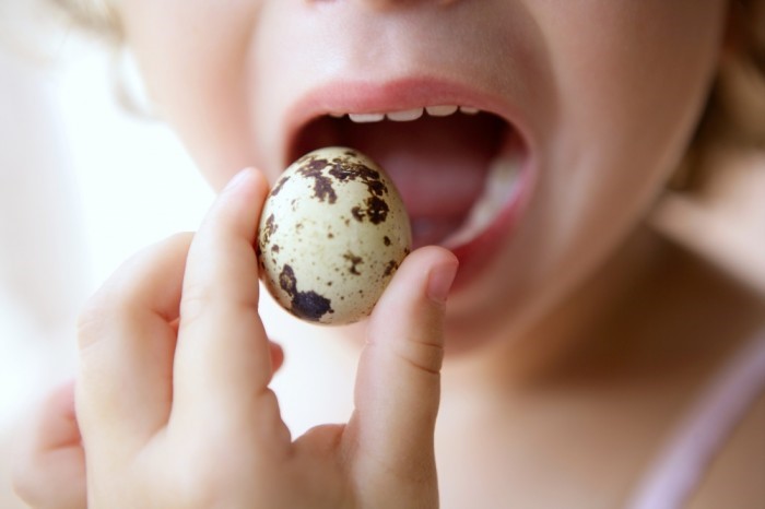 Можно ли употреблять перепелиные яйца при заболевании панкреатитом?