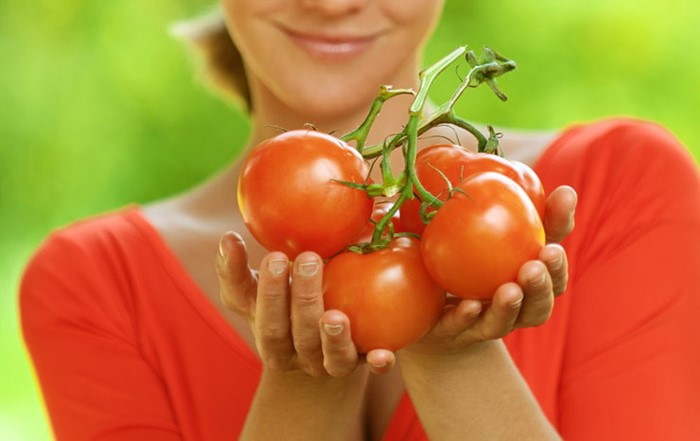 Можно ли пациентам есть помидоры при панкреатите
