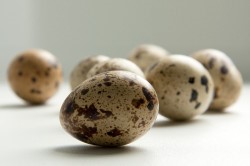 Как использовать при гастрите перепелиные яйца?