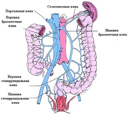 Гипертензия желудка