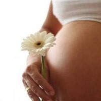 Язва желудка: симптомы и лечение при беременности