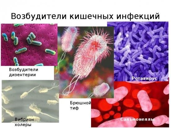 Особенности применения антибиотиков при кишечной инфекции
