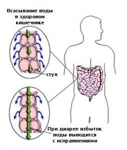Лечение диареи у грудничка