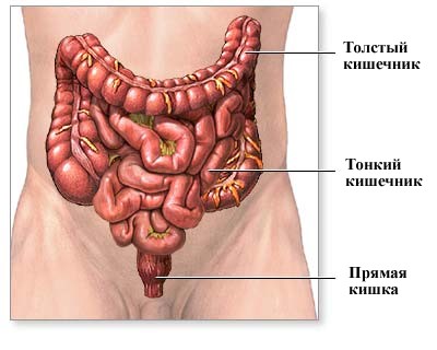 Симптомы и лечение рака толстой кишки