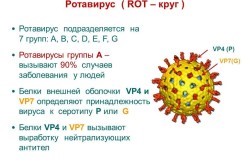 Сколько длится период болезни ротавирусной инфекцией?