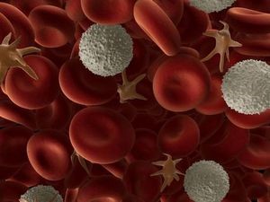 Анализ крови на АСЛ-О и его расшифровка