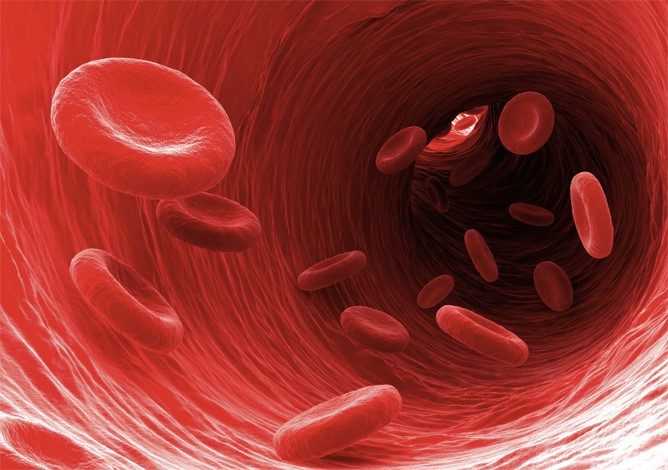 Что такое сыворотка крови и зачем она нужна