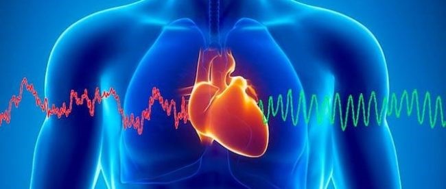 Что выбрать для сердца - ультразвук или электрокардиографию?