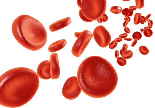 Как поднять уровень лейкоцитов в крови