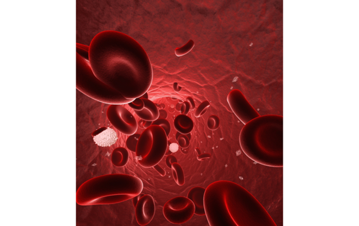Как поднять уровень лейкоцитов в крови