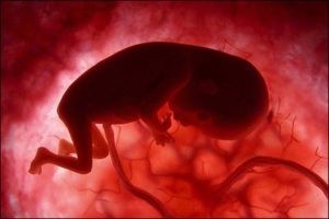 Прослушать биение сердца эмбриона на ультразвуковом исследовании –возможно ли это?