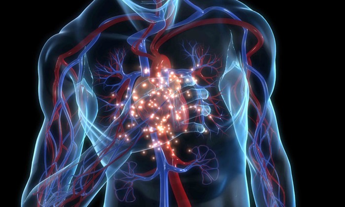 Симптомы и первые признаки микроинфаркта у мужчин
