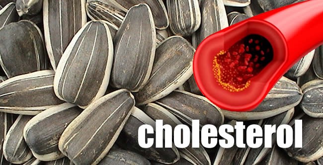 Употребление семечек при высоком уровне холестерина