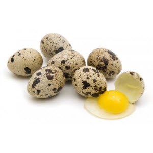 Количество холестерина в яйцах перепелки
