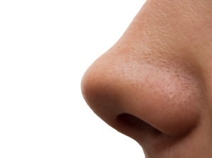 Болезни носа: причины, признаки, как лечить : УхоНос.ру
