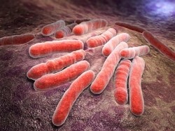 Обзор антибиотиков для лечения легочного туберкулеза