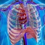 Особенности проведения МРТ органов дыхания
