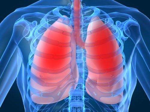 Туберкулез: формы, проявления, признаки