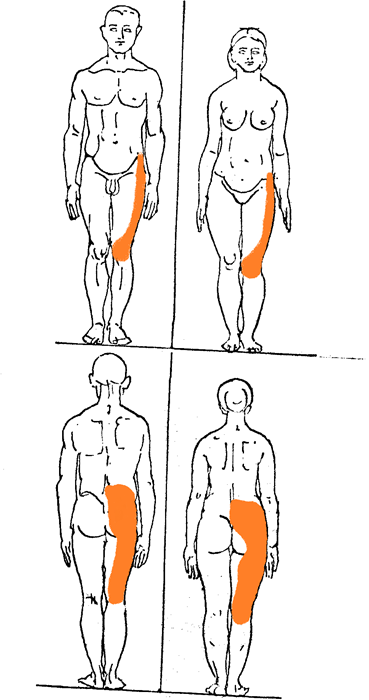 Артроз дугоотросчатых суставов поясничного отдела позвоночника