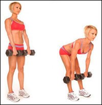 Как накачать широчайшие мышцы спины: рекомендации по тренировке