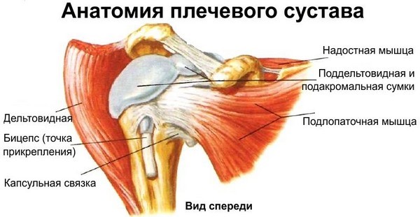 Симптомы и способы лечения защемления нерва в плечевом суставе