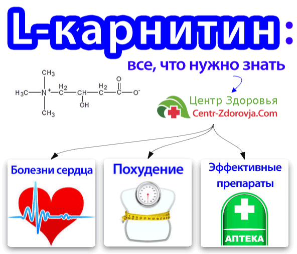 l карнитин инструкция по применению для похудения